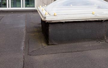 disadvantages of Thornton Le Beans flat roofs