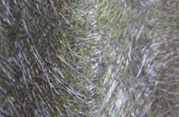 Thornton Le Beans fibreglass roof work